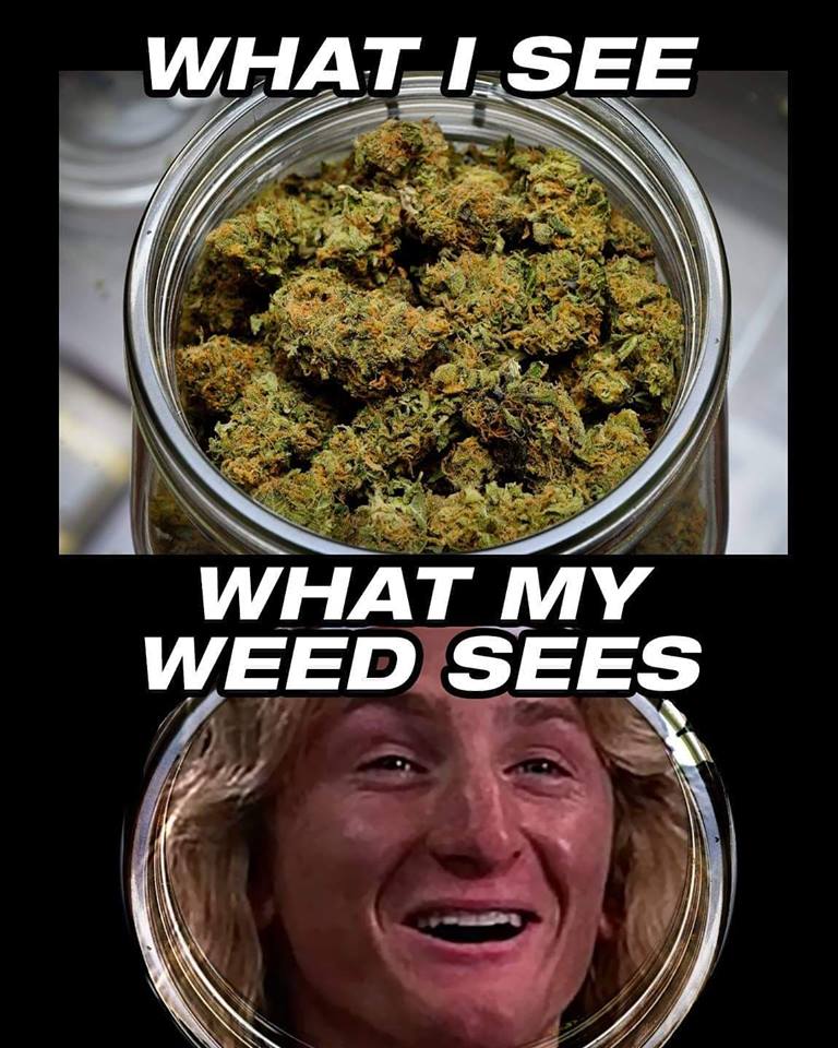 weed meme- weed memes - What I See What My Weed Sees