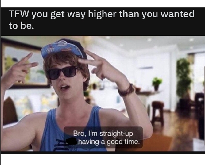 weed meme- straight up not having a good time meme - Tfw you get way higher than you wanted to be. Bro, I'm straightup having a good time.