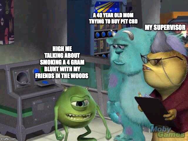 weed meme- mike wazowski explaining meme template - A 40 Year Old Mom Trying To Buy Pet Cbd My Supervisor High Me Talking About Smoking A 4 Gram Blunt With My Friends In The Woods Moby Games imgflip.com
