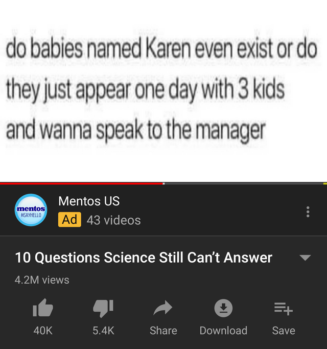 Karen Memes - do babies named Karen even exist or do they just appear one day with 3 kids and wanna speak to the manager