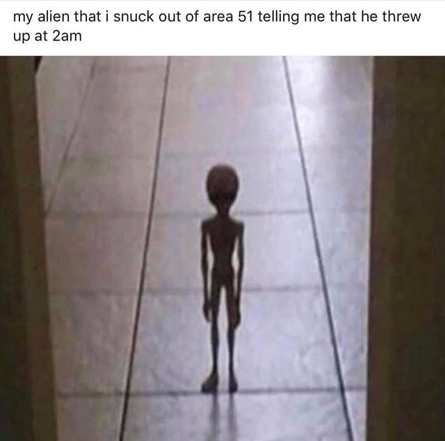 area 51 meme - me walking to my parents room to tell them i threw up - my alien that i snuck out of area 51 telling me that he threw up at 2am