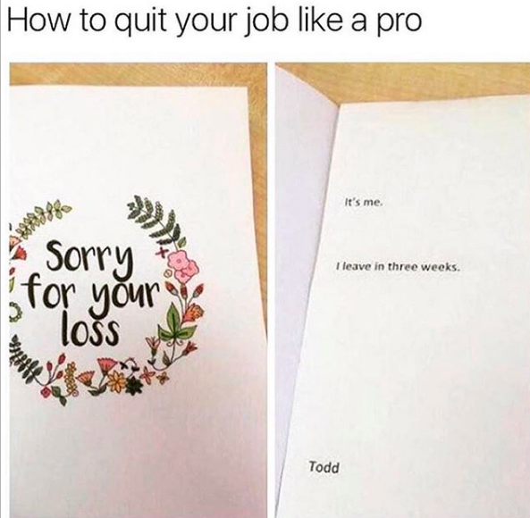 How to quit your job a pro It's me Sorry the I leave in three weeks. for your en loss Todd
