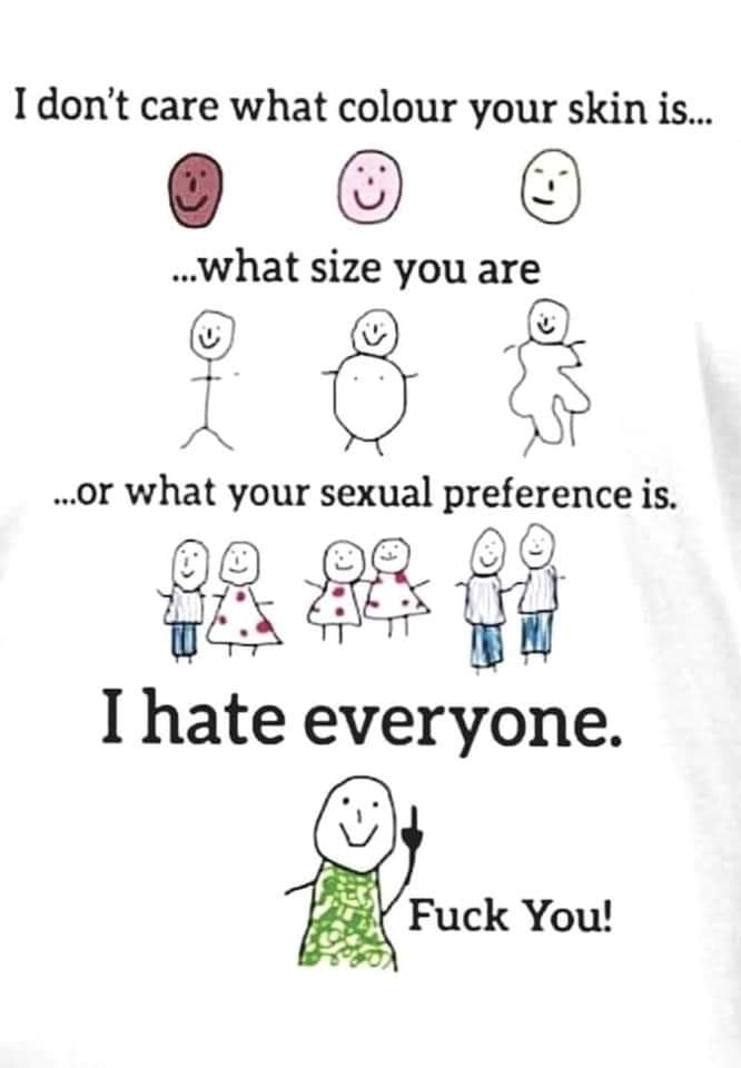 don t care what colour your skin - I don't care what colour your skin is... ...what size you are ...or what your sexual preference is. I hate everyone. 7. Fuck You!