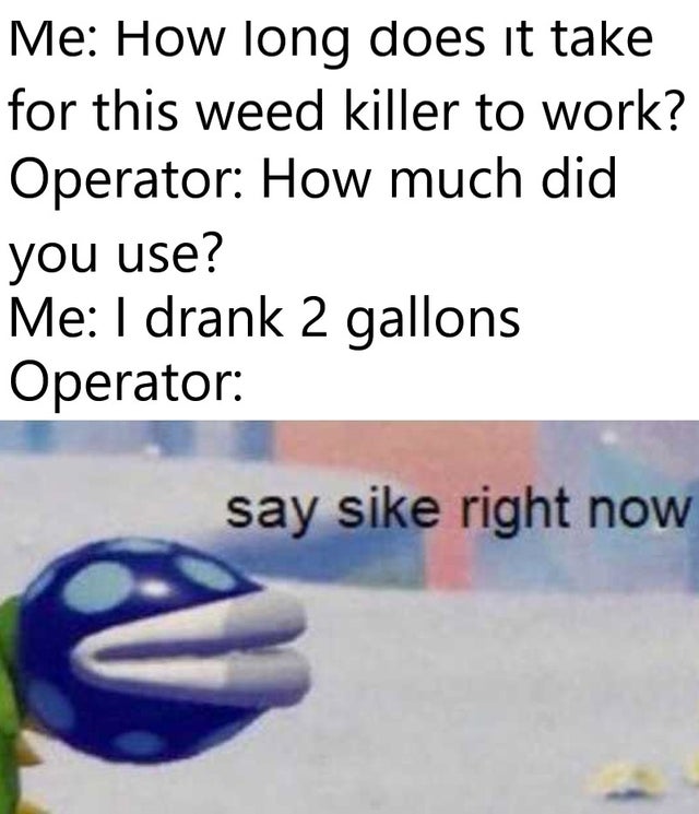 meme - class of 2013 slogans - Me How long does it take for this weed killer to work? Operator How much did you use? Me I drank 2 gallons Operator say sike right now