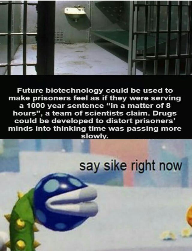 say sike right now - Future biotechnology could be used to make prisoners feel as if they were serving a 1000 year sentence "in a matter of 8 hours", a team of scientists claim. Drugs could be developed to distort prisoners' minds into thinking time was p
