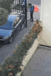 Delivery gif