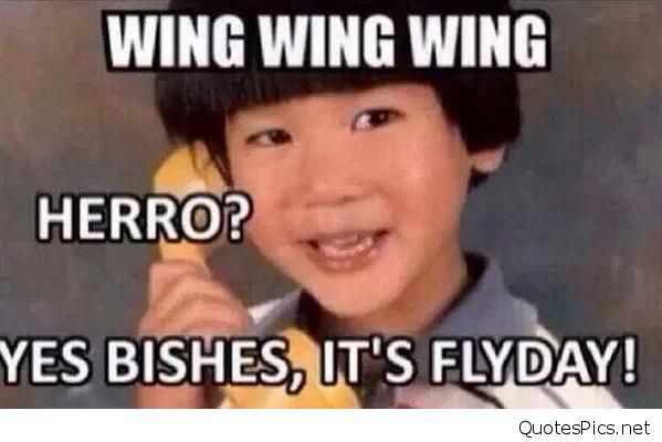 funny its friday memes - Wing Wing Wing Herro? Yes Bishes, It'S Flyday! QuotesPics.net