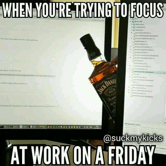 trying to focus at work meme - When You'Re Trying To Focus "At Work On A Friday