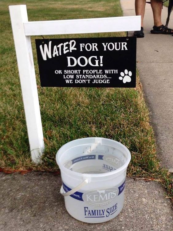 water for dogs and short people - Water For Your Dog! Or Short People With Low Standards... We Don'T Judge asia Kemps Family Size