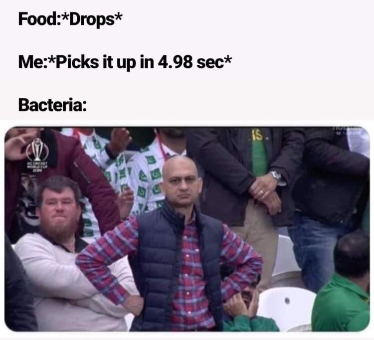 am i joke to you - FoodDrops MePicks it up in 4.98 sec Bacteria