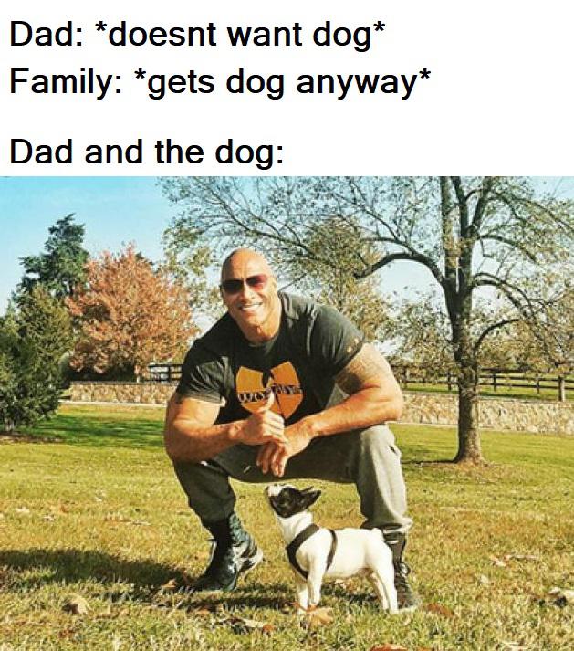 clean meme - dwayne johnson puppy - Dad doesnt want dog Family gets dog anyway Dad and the dog