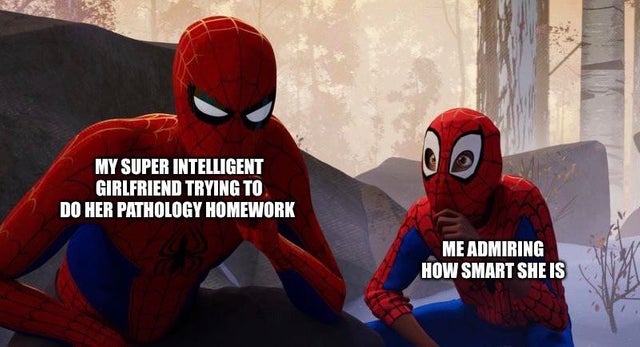 clean meme - sam raimi spider man memes - My Super Intelligent Girlfriend Trying To Do Her Pathology Homework Me Admiring How Smart She Is