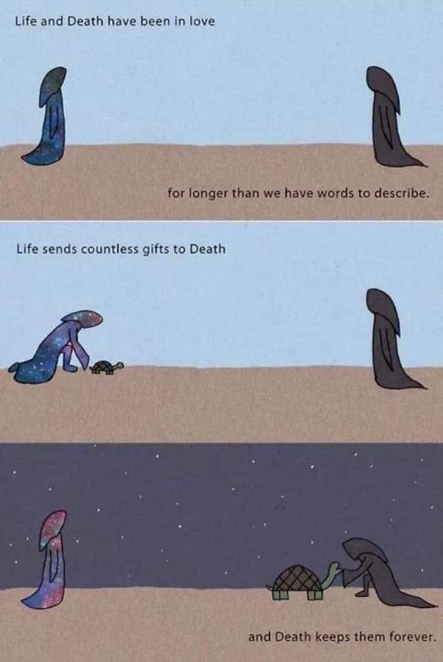 clean meme - life and death have been in love - Life and Death have been in love for longer than we have words to describe. Life sends countless gifts to Death and Death keeps them forever.