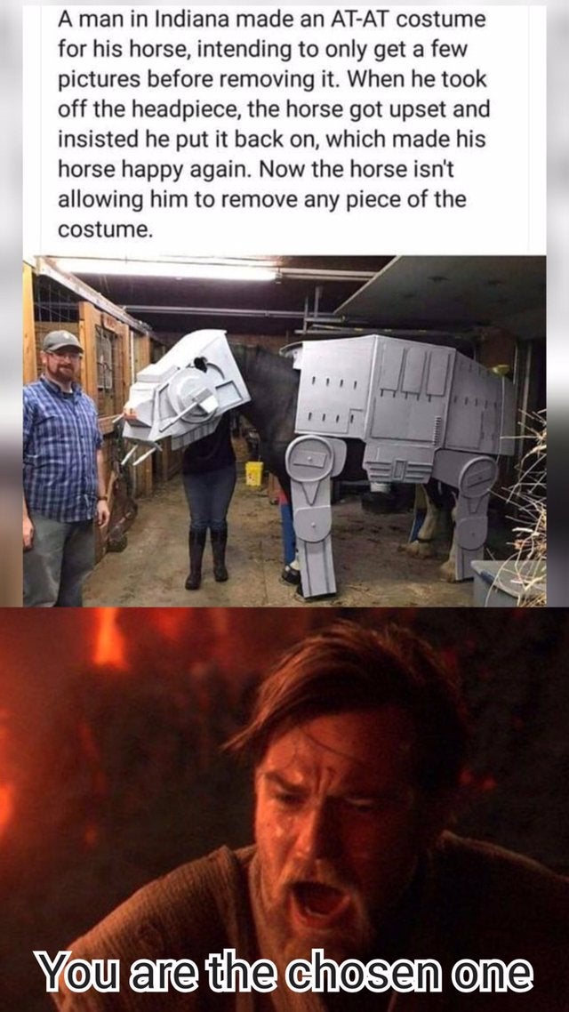 clean meme - horse at at costume - A man in Indiana made an AtAt costume for his horse, intending to only get a few pictures before removing it. When he took off the headpiece, the horse got upset and insisted he put it back on, which made his horse happy