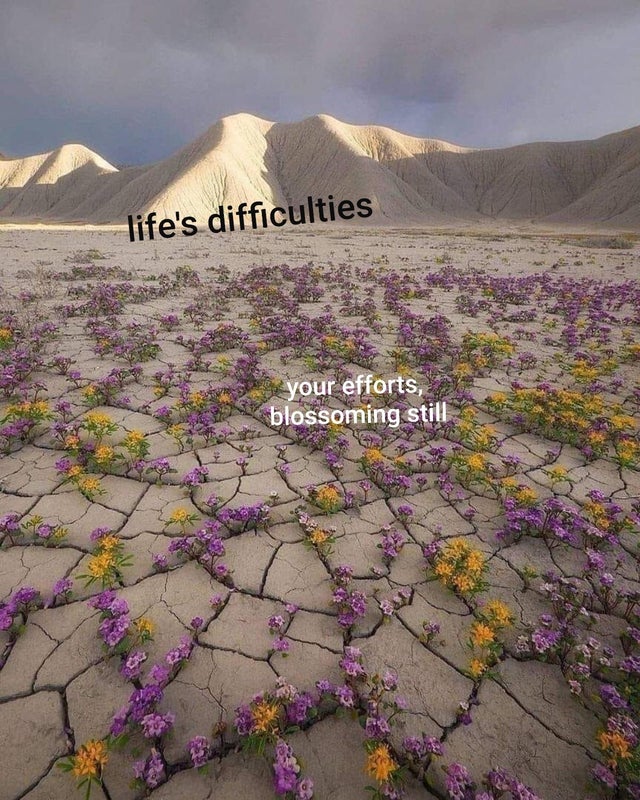 clean meme - utah desert bloom - life's difficulties Ga your efforts, blossoming still