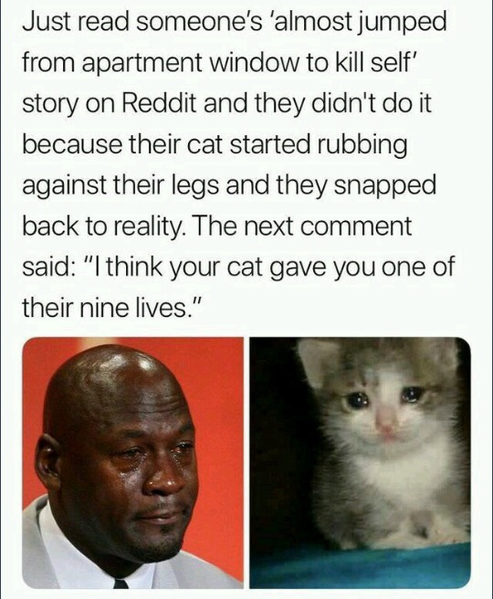 clean meme - Reddit - Just read someone's 'almost jumped from apartment window to kill self' story on Reddit and they didn't do it because their cat started rubbing against their legs and they snapped back to reality. The next comment said