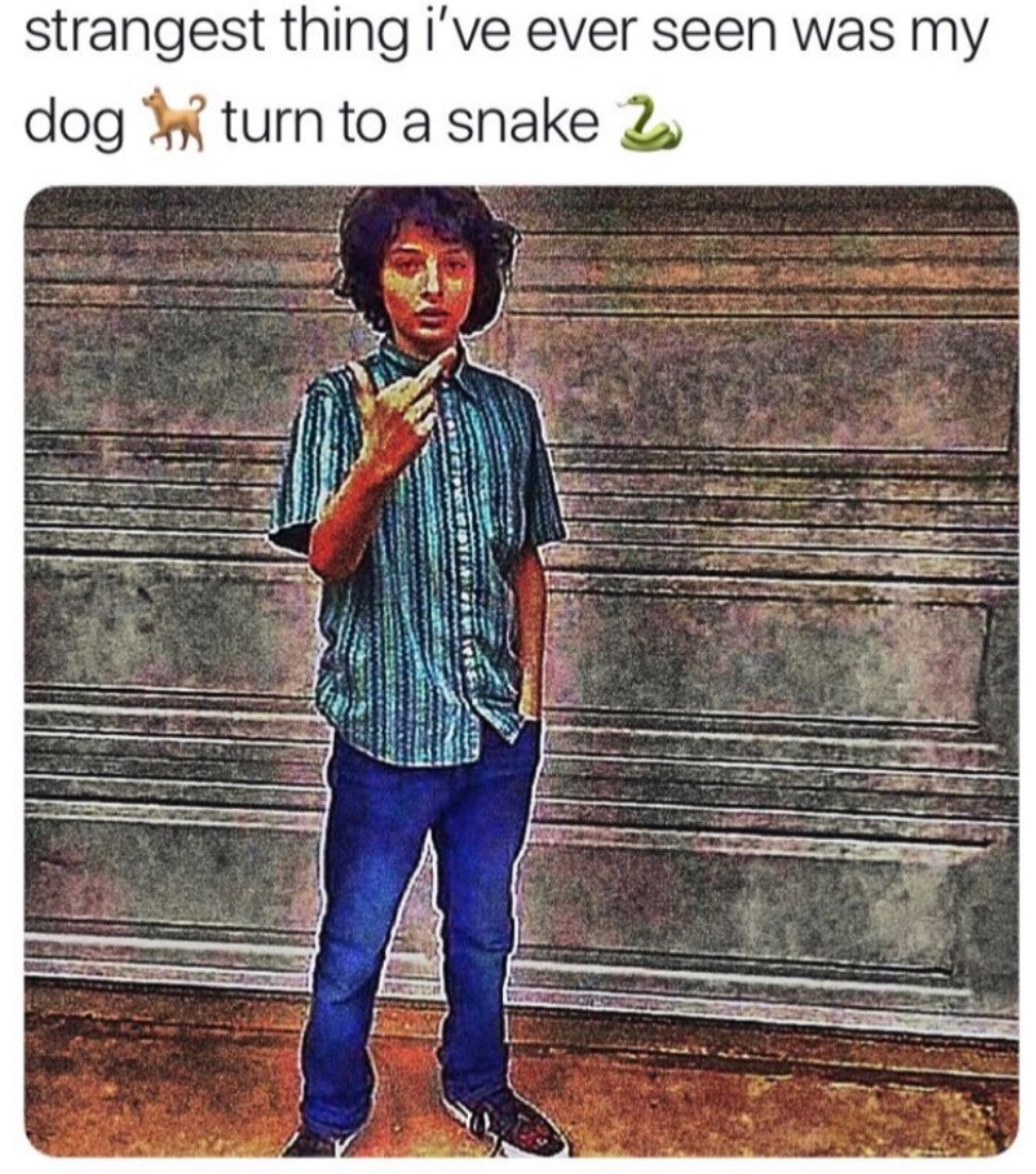 orange - strangest thing i've ever seen was my dog ; turn to a snake 2