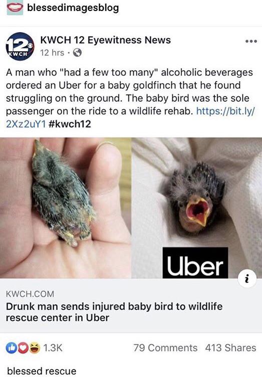 Alcohol intoxication - o blessedimagesblog Kwch 12 Eyewitness News 12 hrs. Wch A man who "had a few too many" alcoholic beverages ordered an Uber for a baby goldfinch that he found struggling on the ground. The baby bird was the sole passenger on the ride