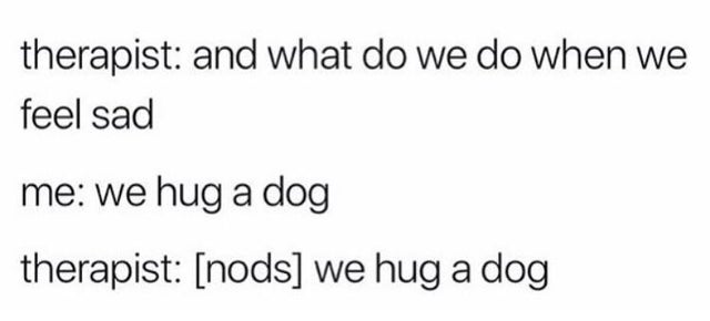 therapist and what do we do when we feel sad me we hug a dog therapist nods we hug a dog