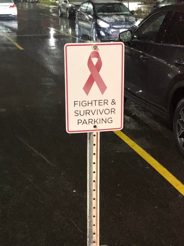 lane - Fighter & Survivor Parking
