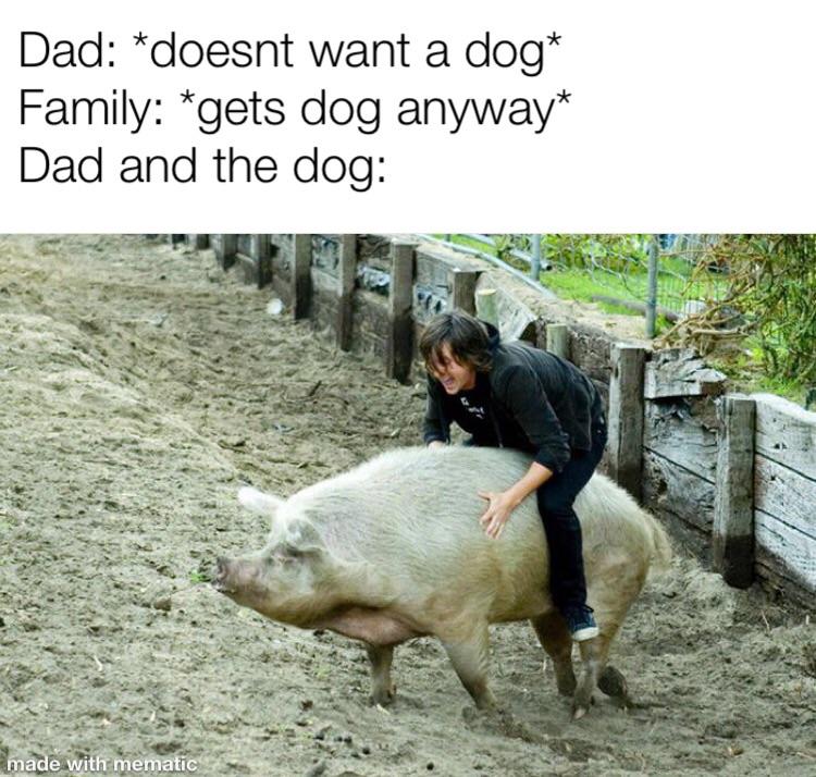 dad and dog meme - inappropriate animals - Dad doesnt want a dog Family gets dog anyway Dad and the dog made with mematic