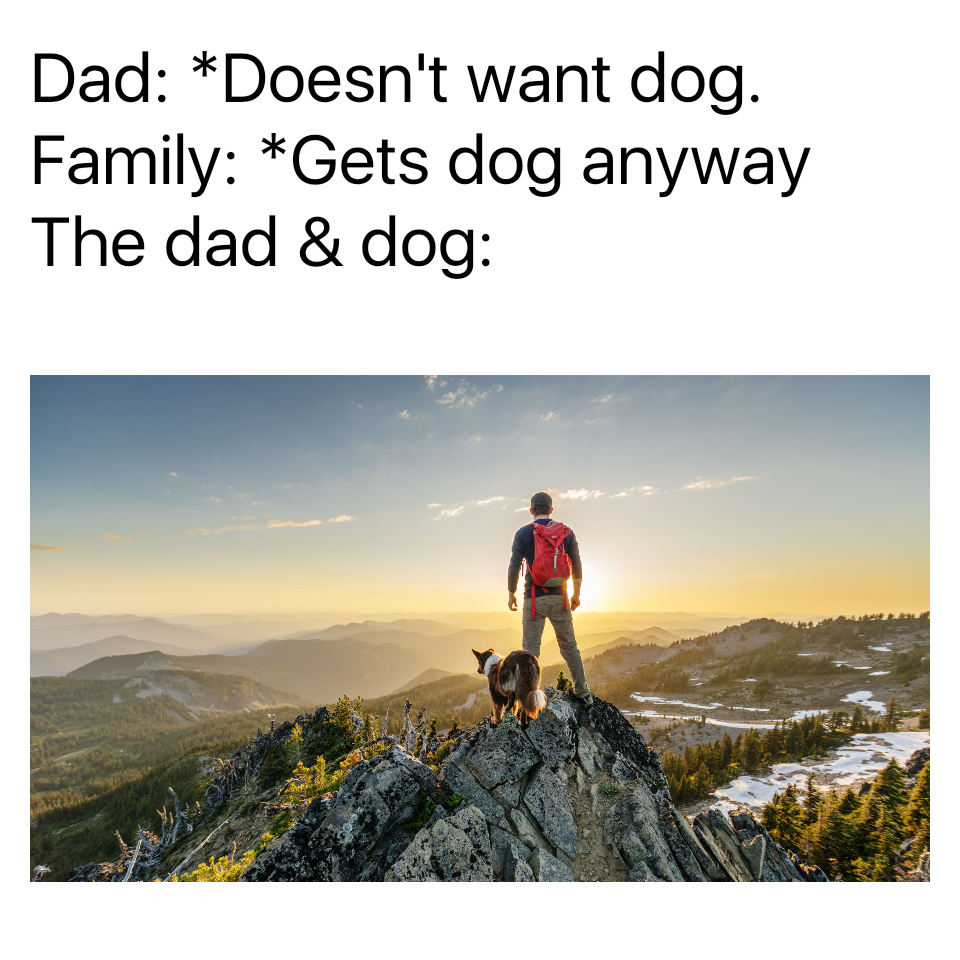 dad and dog meme - Dog - Dad Doesn't want dog. Family Gets dog anyway The dad & dog
