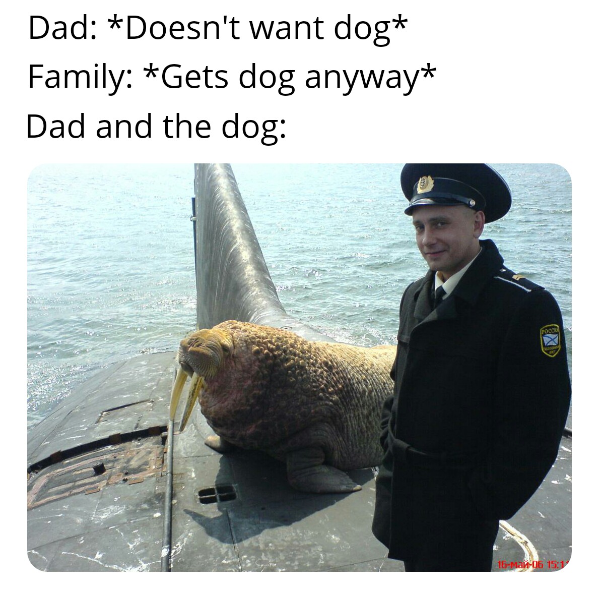 dad and dog meme - walrus on submarine - Dad Doesn't want dog Family Gets dog anyway Dad and the dog 16Mar06
