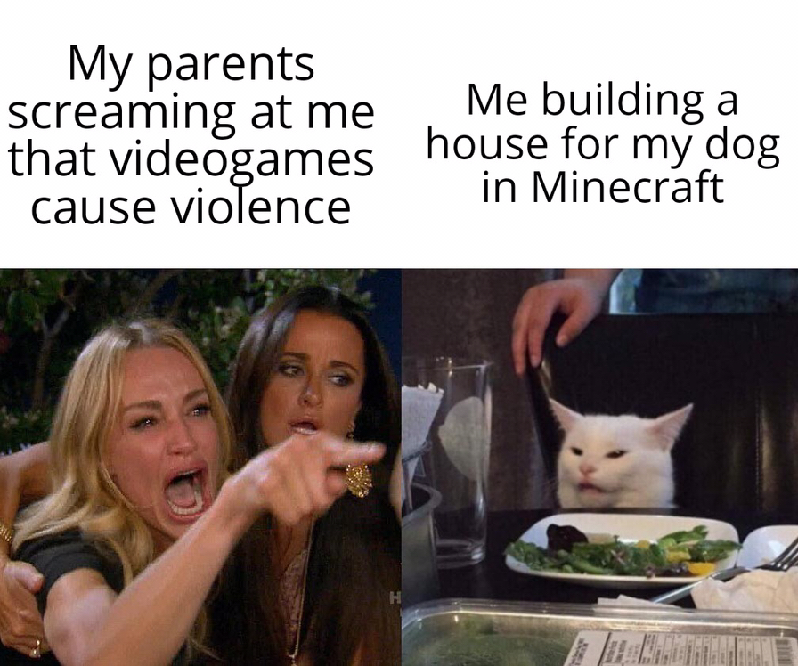 Woman yelling a cat meme that shows the woman yelling 'my parents screaming at me that vidoegames cause violence' and the cat 'me building a house for my dog in minecraft'