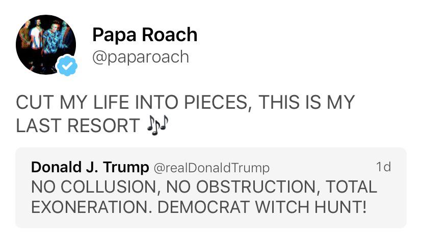 organization - Papa Roach Cut My Life Into Pieces, This Is My Last Resort dised 1d Donald J. Trump Trump No Collusion, No Obstruction, Total Exoneration. Democrat Witch Hunt!