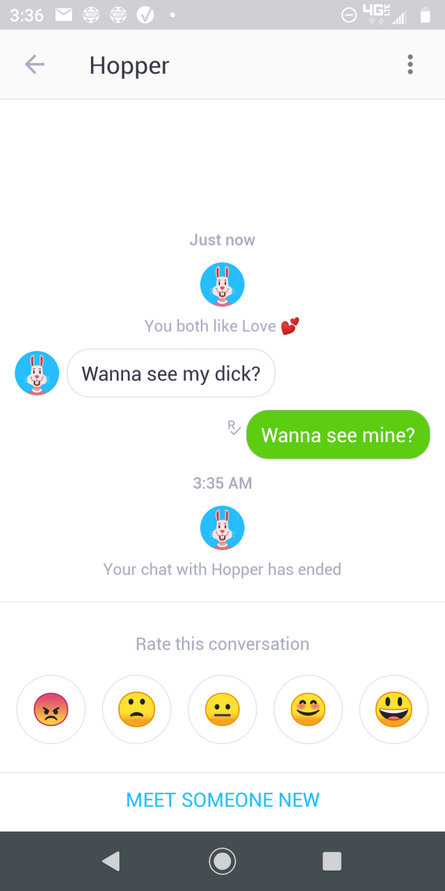 screenshot - Y .. 4G Hopper Just now You both Love B Wanna see my dick? Wanna see mine? Your chat with Hopper has ended Rate this conversation Meet Someone New