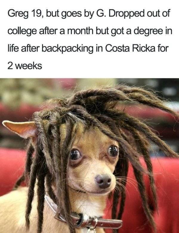 dog bios memes - Greg 19, but goes by G. Dropped out of college after a month but got a degree in life after backpacking in Costa Ricka for 2 weeks