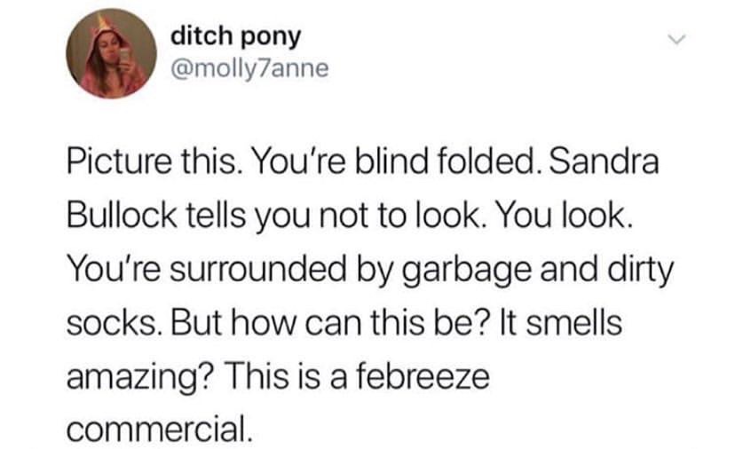 Funny memes for her - office culture donuts - ditch pony Picture this. You're blind folded. Sandra Bullock tells you not to look. You look. You're surrounded by garbage and dirty socks. But how can this be? It smells amazing? This is a febreeze commercial