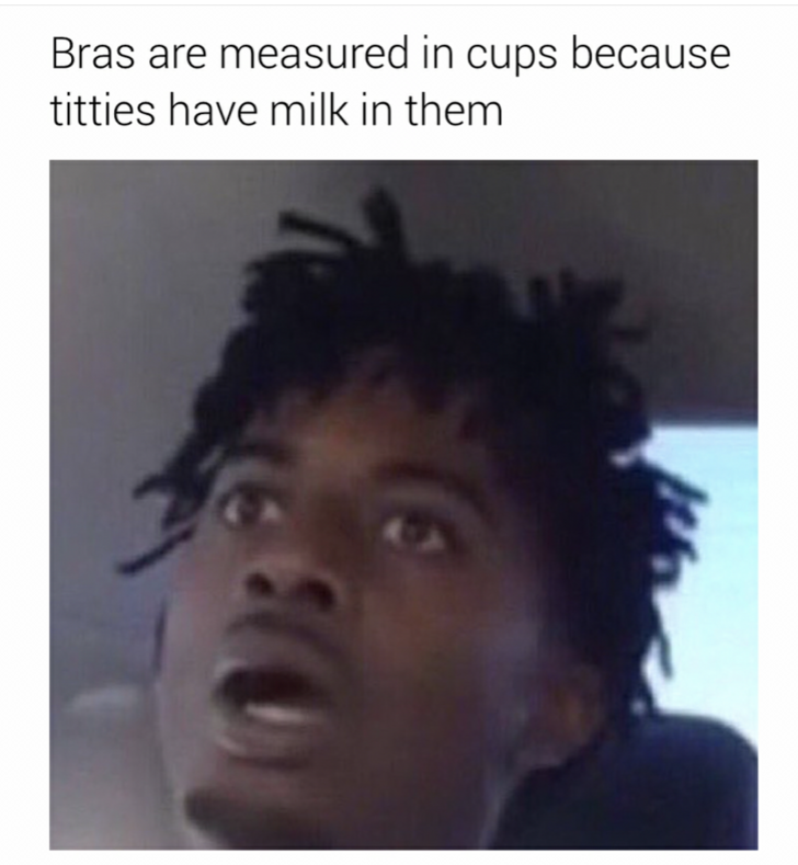 Funny memes for her - bras are measured in cups because - Bras are measured in cups because titties have milk in them