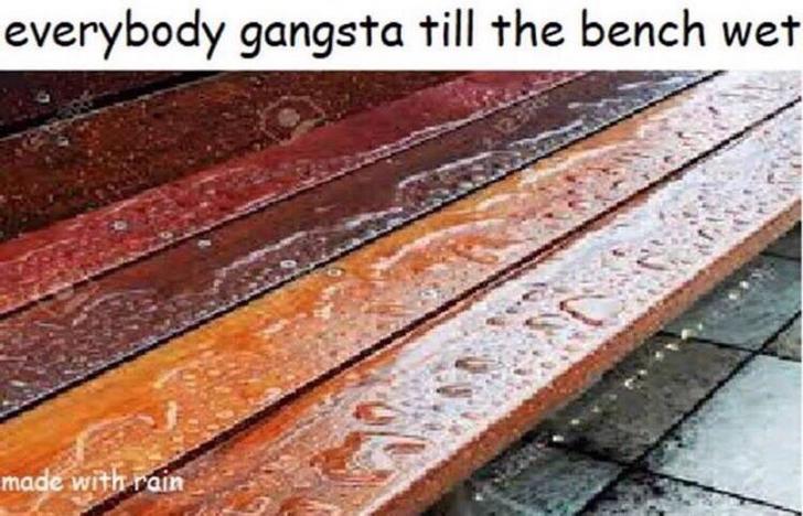 Funny Relatable Meme that says - elon musk made with rain - everybody gangsta till the bench wet made with rain