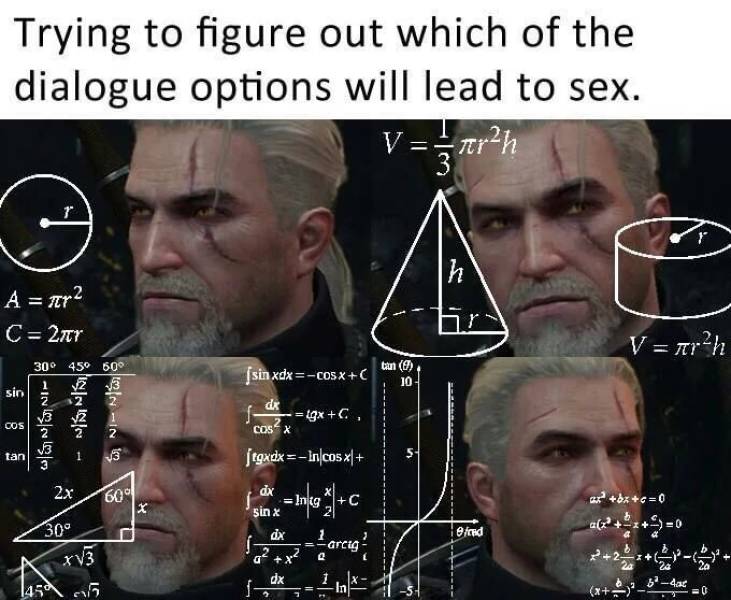 Funny Relatable Meme that says - witcher meme - Trying to figure out which of the dialogue options will lead to sex. Varh Th A ar2 C 27 V arh tan 0 sin xdxCosa Sini xC, 'Cos tgxdx Incosx bxc0 90 30 XV3 14505 x2,574 0
