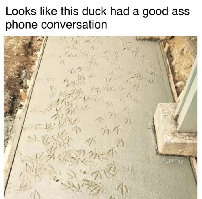 Funny Relatable Meme that says - phone conversation meme - Looks this duck had a good ass phone conversation al_pundy