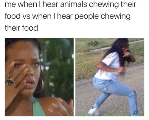 Funny Relatable Meme that says - kids eat first thanksgiving meme - me when I hear animals chewing their food vs when I hear people chewing their food