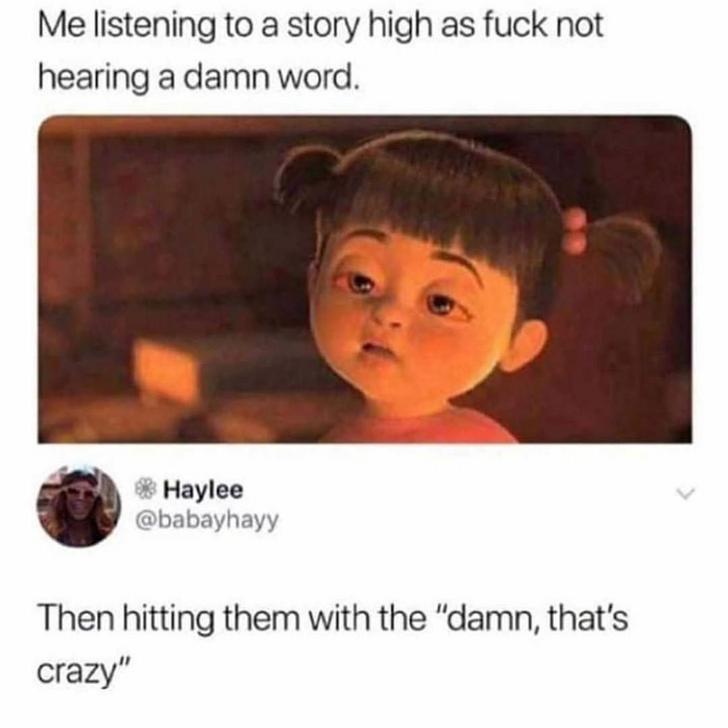 Funny Relatable Meme that says - damn thats crazy meme - Me listening to a story high as fuck not hearing a damn word. Haylee Then hitting them with the