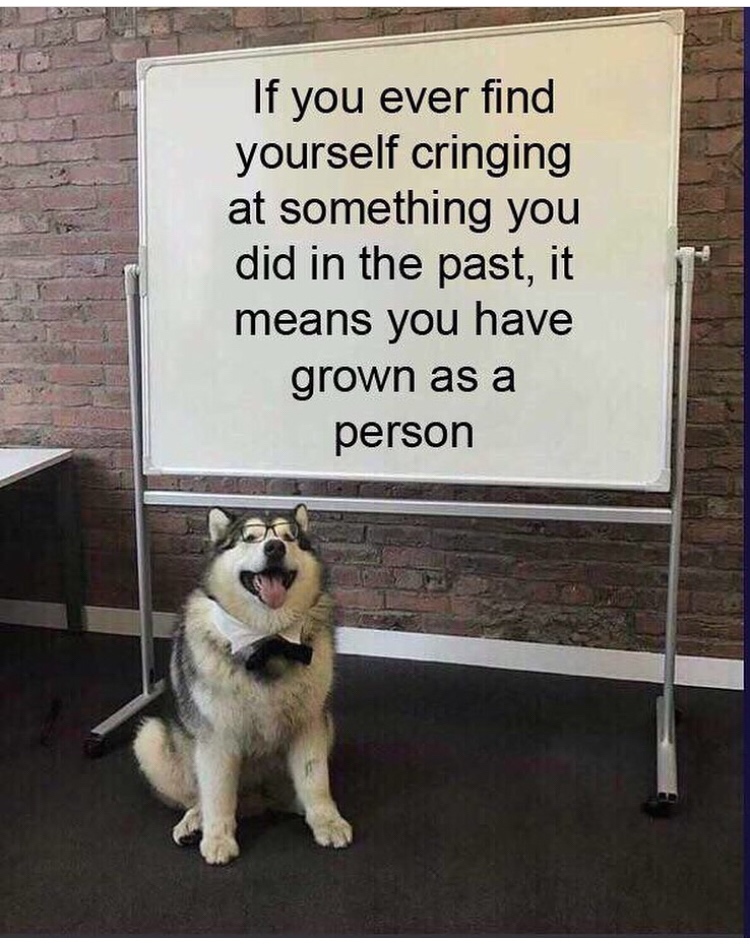 Funny Relatable Meme that says - all dogs are good dogs - If you ever find yourself cringing at something you did in the past, it means you have grown as a person