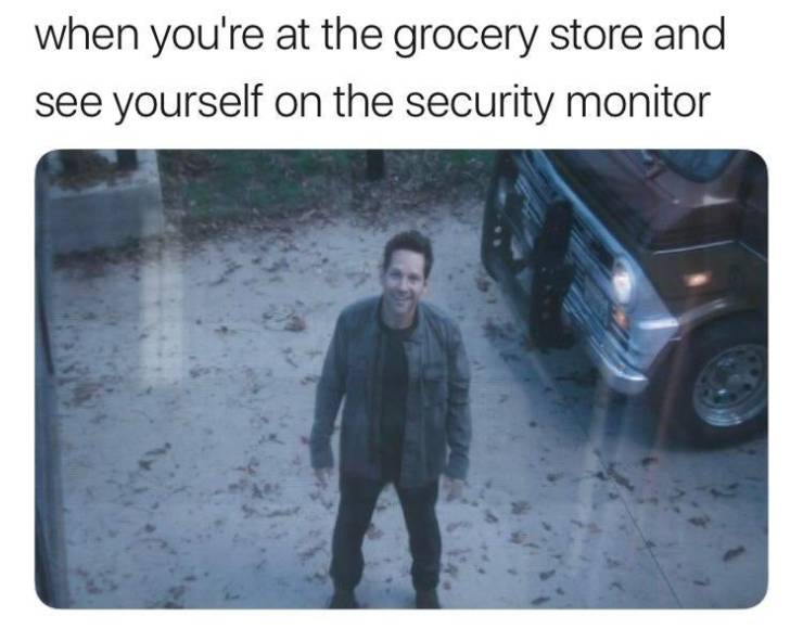 Funny Relatable Meme that says - ant man security camera meme - when you're at the grocery store and see yourself on the security monitor