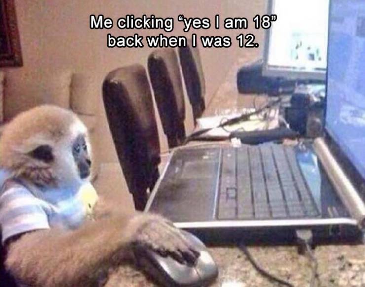 Funny Relatable Meme that says - me preparing to click yes i am 18 - Me clicking