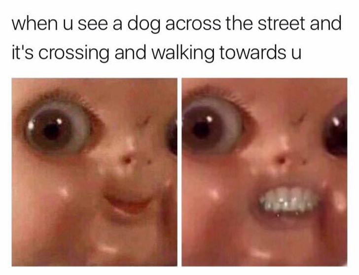 Funny memes - you see a dog across the street meme - when u see a dog across the street and it's crossing and walking towards u