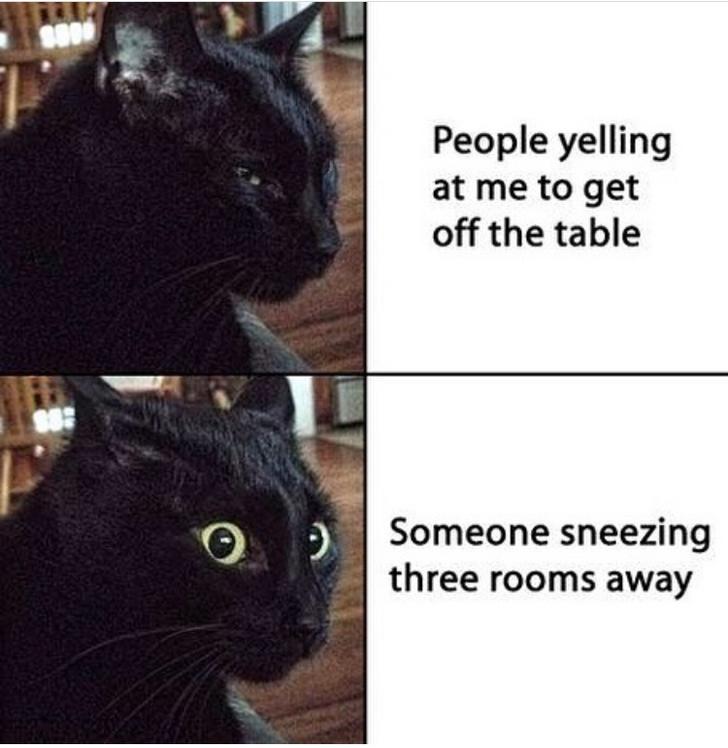 Funny memes - off light sign - People yelling at me to get off the table Someone sneezing three rooms away