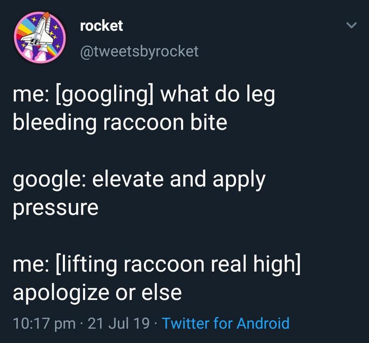 Funny memes - dragon ball rap letra - rocket me googling what do leg bleeding raccoon bite google elevate and apply pressure me lifting raccoon real high apologize or else 21 Jul 19. Twitter for Android