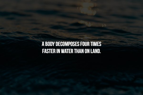 wave - A Body Decomposes Four Times Faster In Water Than On Land.