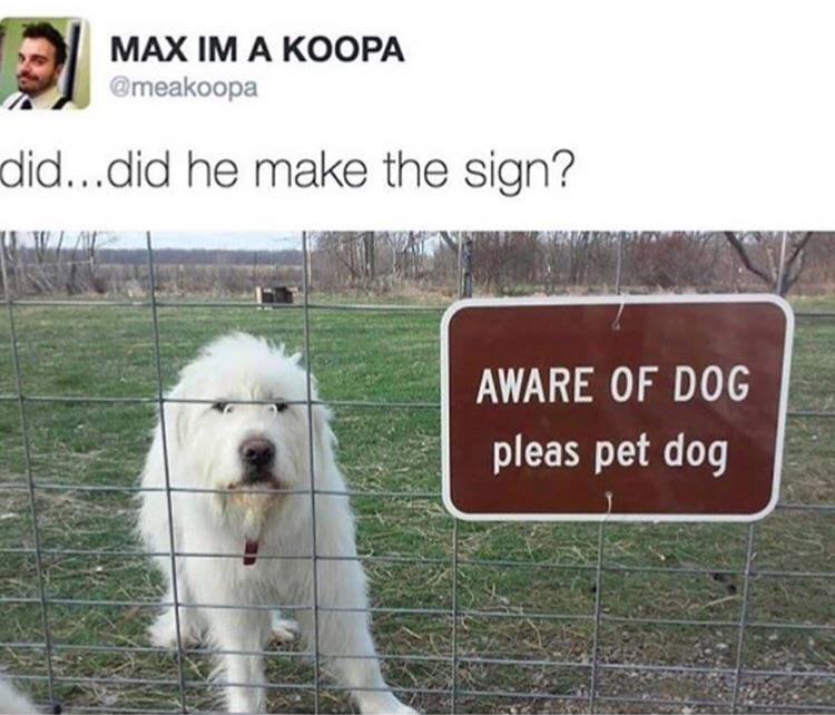 aware of dog meme - did...did he make the sign? Aware Of Dog pleas pet dog