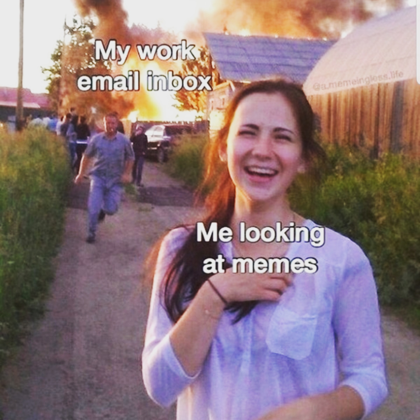 Humour - My work email inbox Me looking at memes