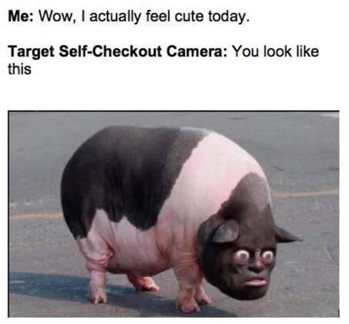 Humour - Me Wow, I actually feel cute today. Target SelfCheckout Camera You look this