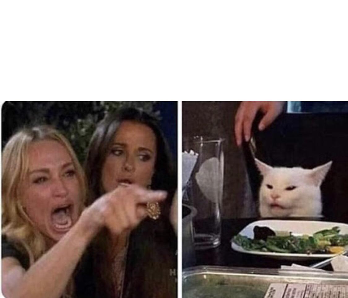 woman yelling at cat meme template