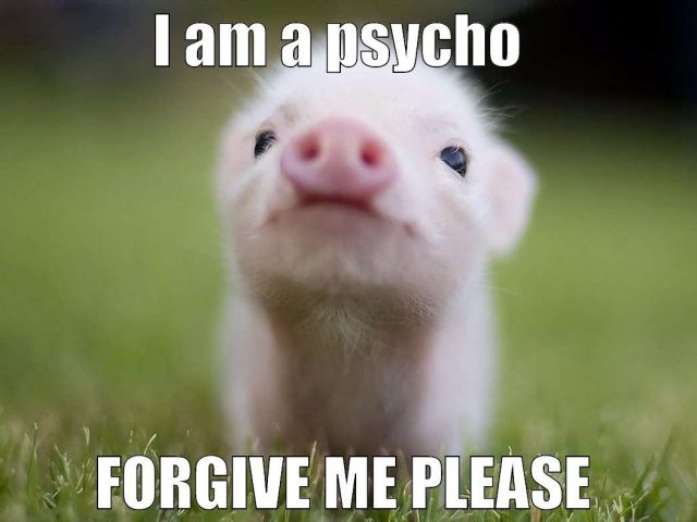 forgive me meme - I am a psycho Forgive Me Please
